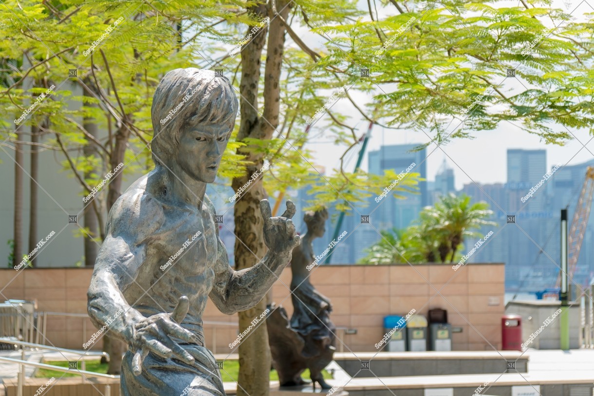 ブルース・リーの銅像 その④