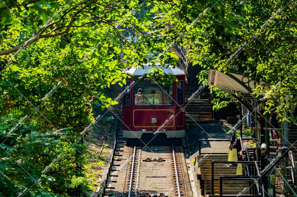 マクドナルドロード（麥當勞道）駅を通過するピークトラム [横向き] その②
