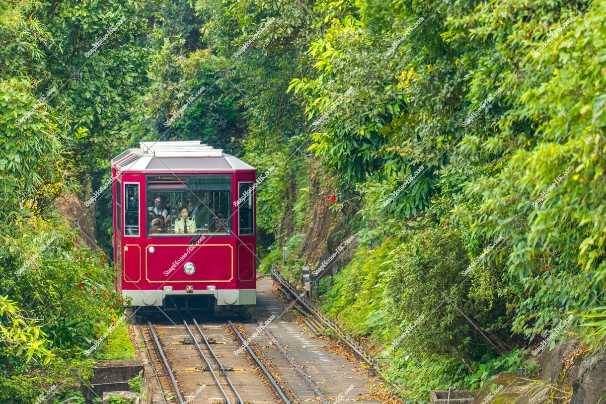 ヴィクトリア・ピーク（山頂）の山道を走るピークトラム その①