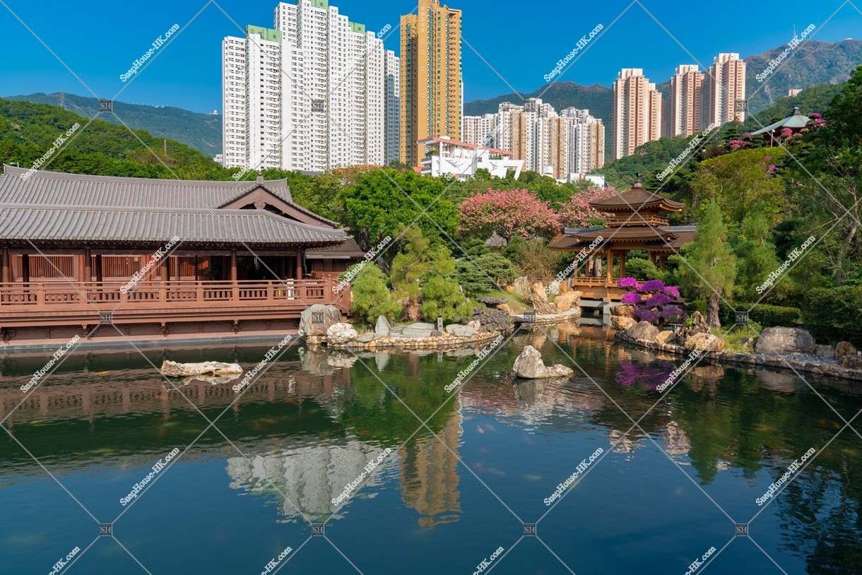 南蓮園池 見晴らし台から見る亭橋、松茶榭と池 その④