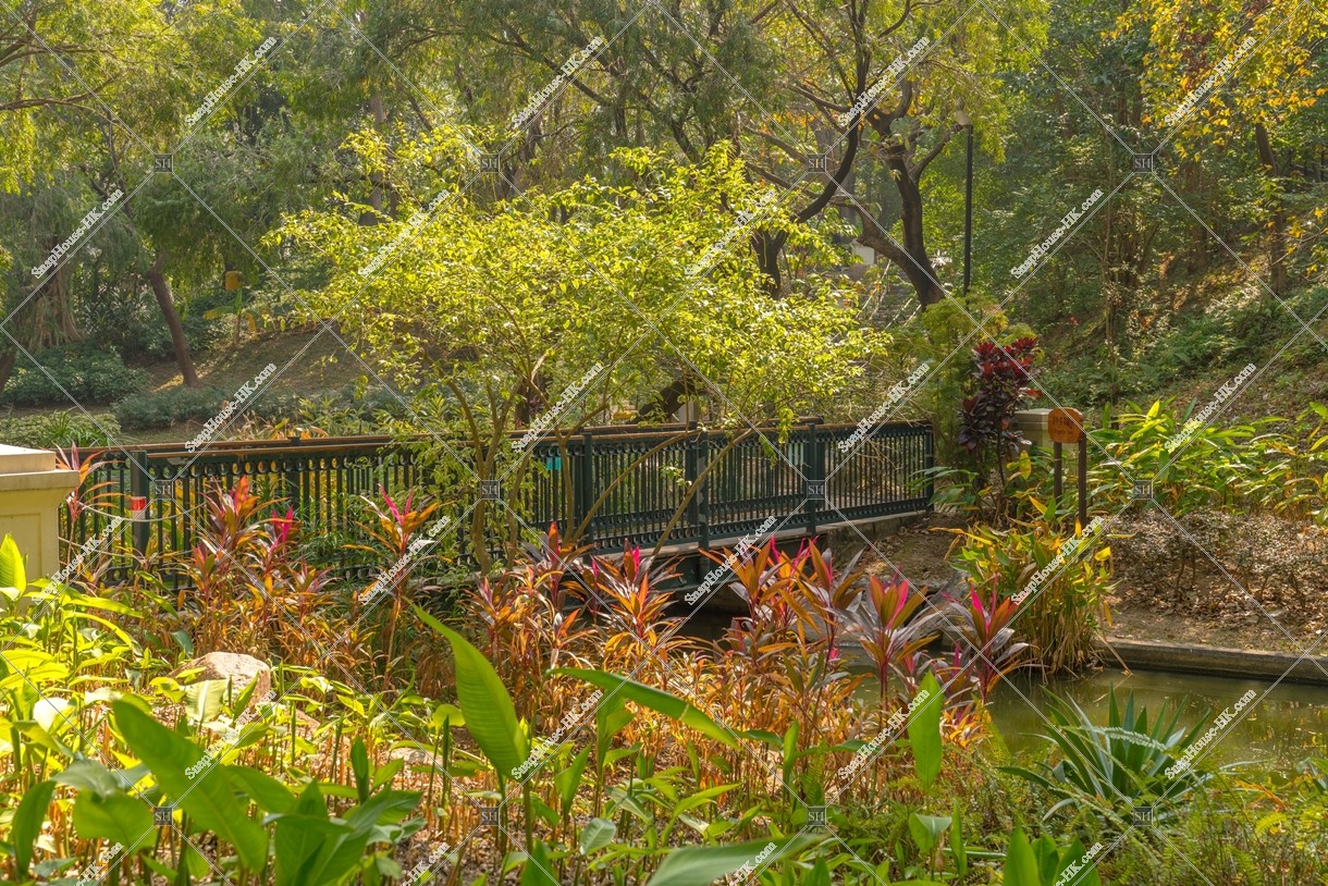 青衣公園の風景 その⑦