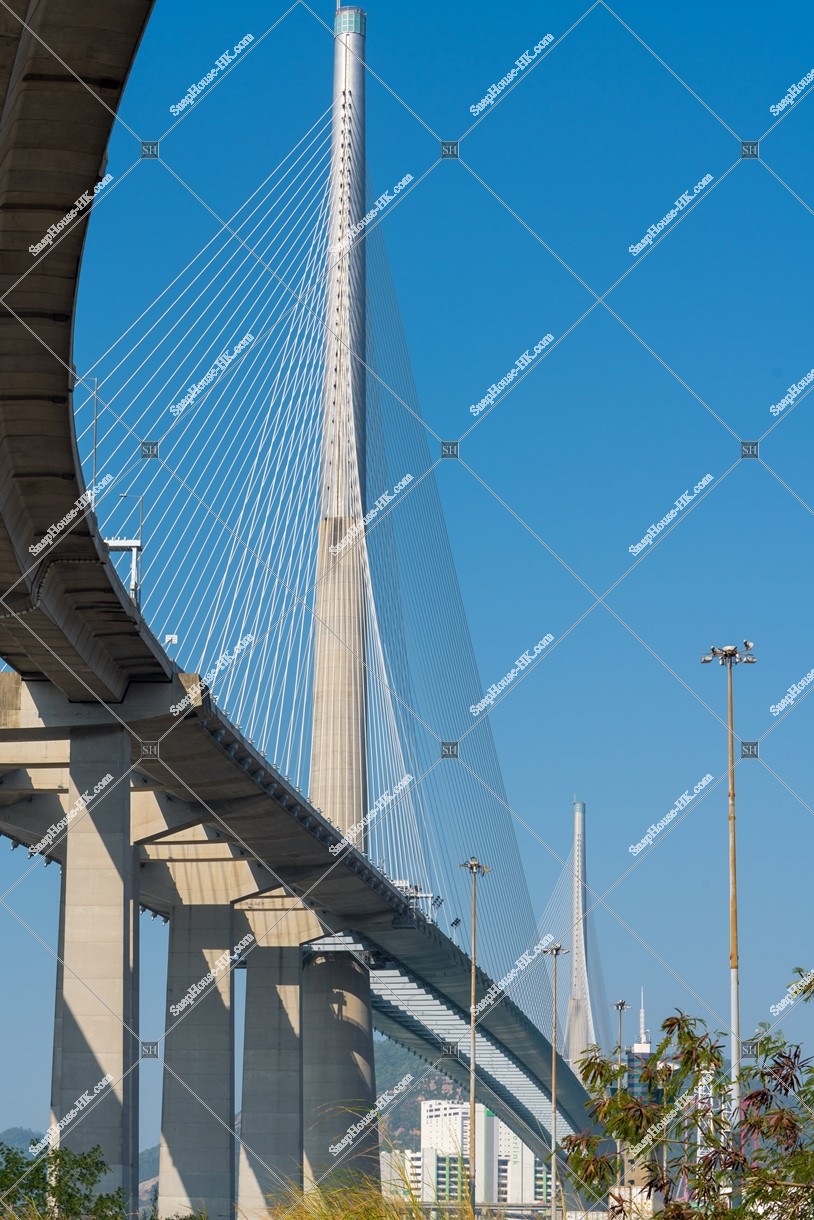 下から眺める昂船洲大橋 その⑤