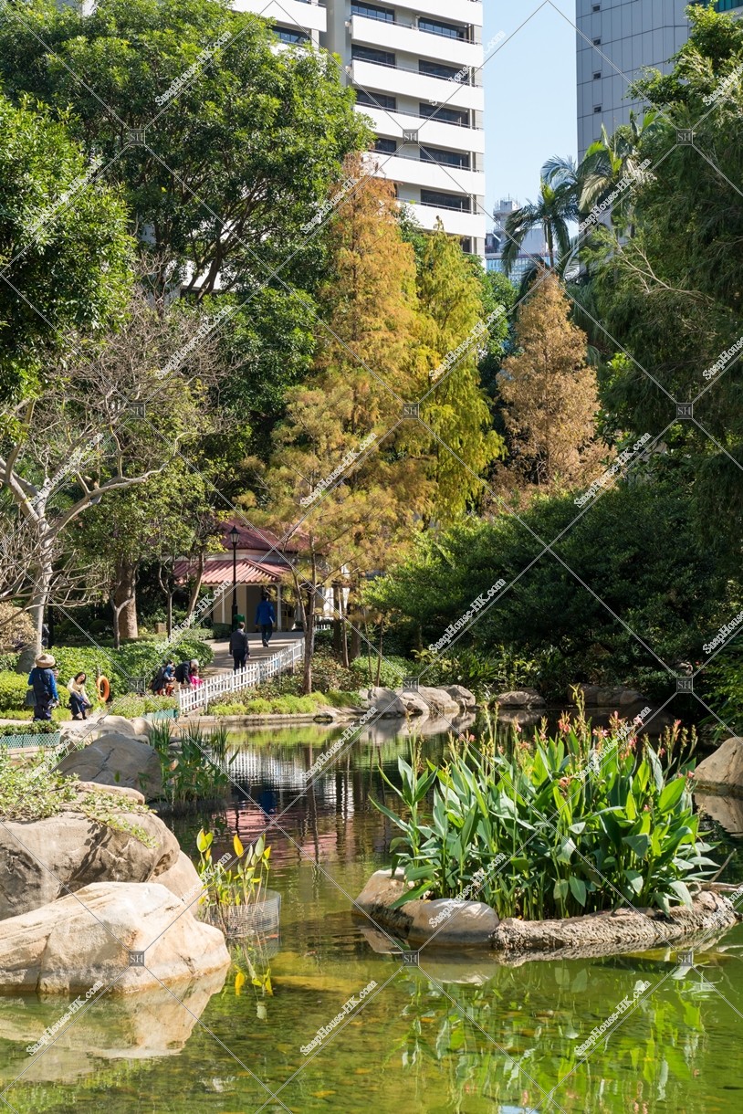 秋の香港公園 池と紅葉した木々