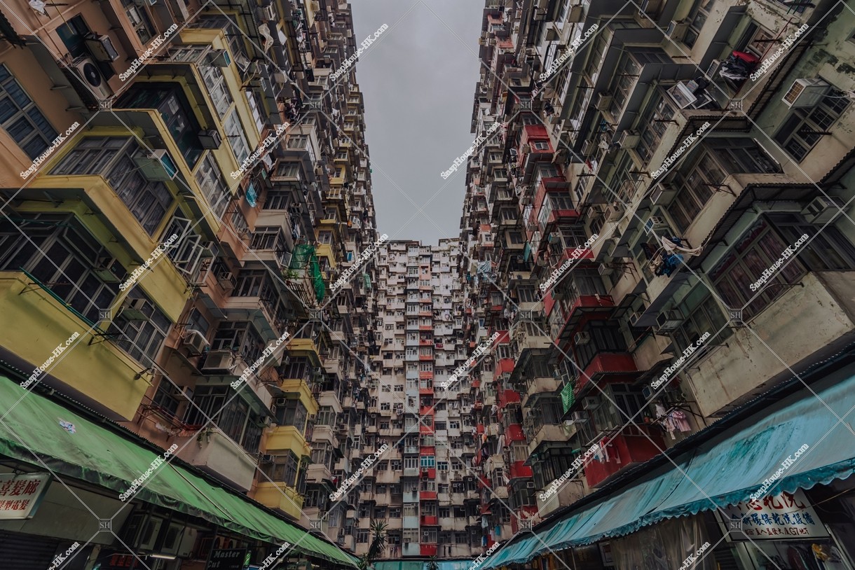 鰂魚涌 怪獣マンション（怪獣大廈） の風景 その⑰