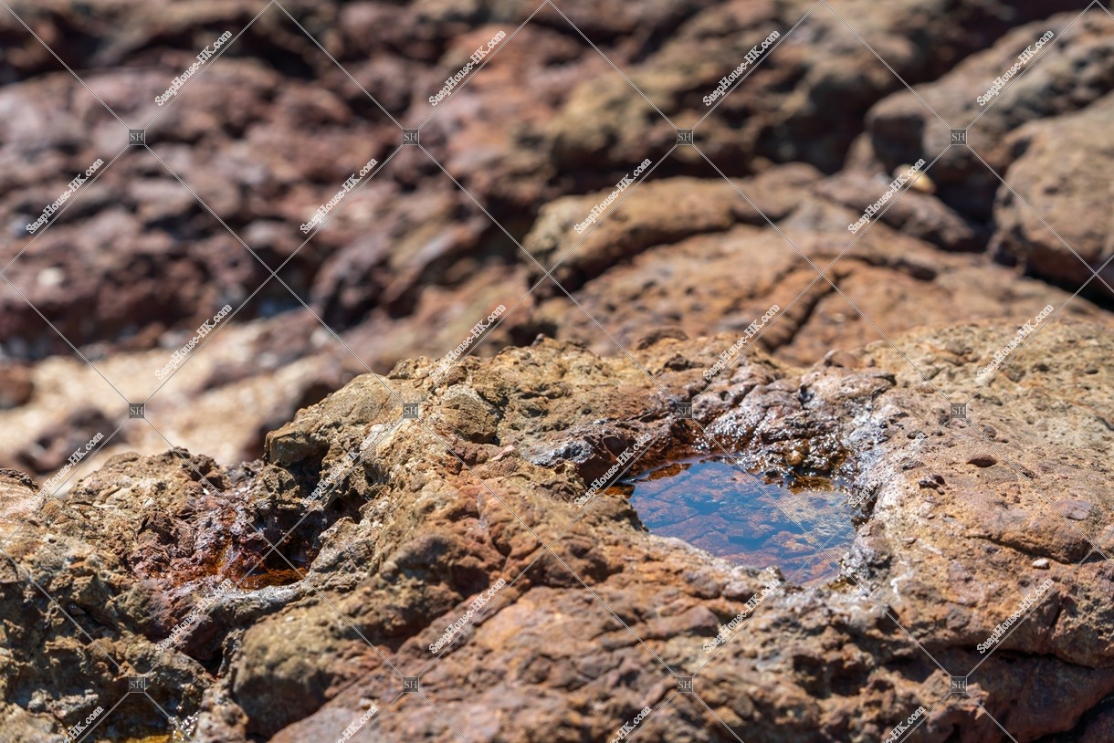 馬屎洲 海岸の岩