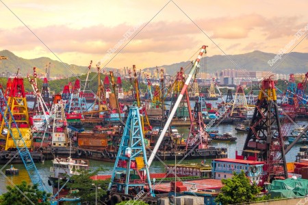 新油麻地避風塘の風景 その②