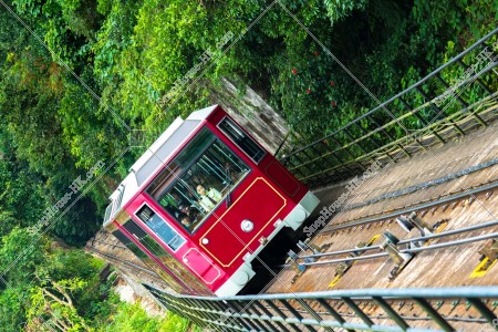 ヴィクトリア・ピーク（山頂）の山道を走るピークトラム その③