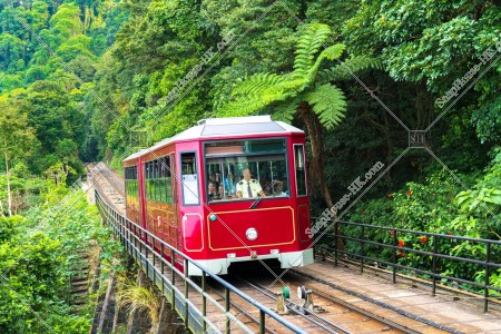 ヴィクトリア・ピーク（山頂）の山道を走るピークトラム その④