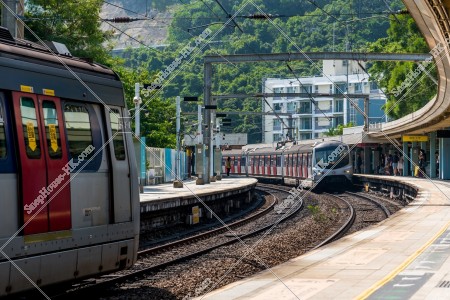 MTR 東鉄線（東鐵綫） 双方向からやってくる列車