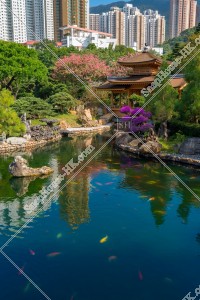 南蓮園池 亭橋と池 その①