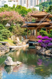 南蓮園池 亭橋と池 その②