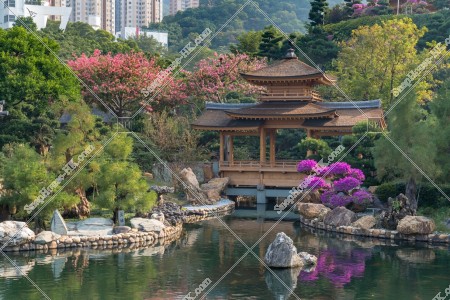 南蓮園池 亭橋と池 その⑤