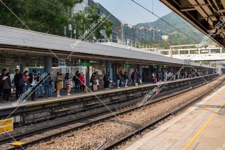 MTR 東鐵綫 九龍塘駅のホーム