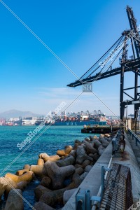 葵青コンテナターミナルの風景 その①