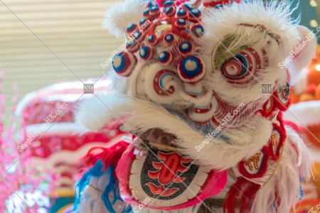 旧正月 獅子舞の様子 その①