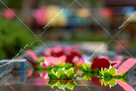 流れる蓮花水燈 その④