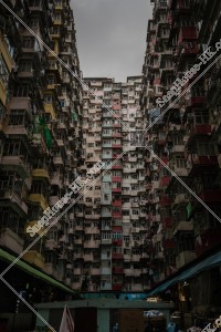 鰂魚涌 怪獣マンション(怪獣大廈) の風景 その㉖