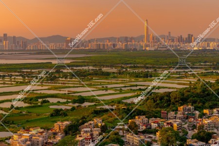 豐樂圍の溜め池と深センの夕景 その②