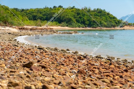 馬屎洲 海岸の風景 その②