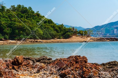 馬屎洲 海岸の風景 その⑧