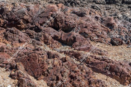 馬屎洲 古代の地層 その②