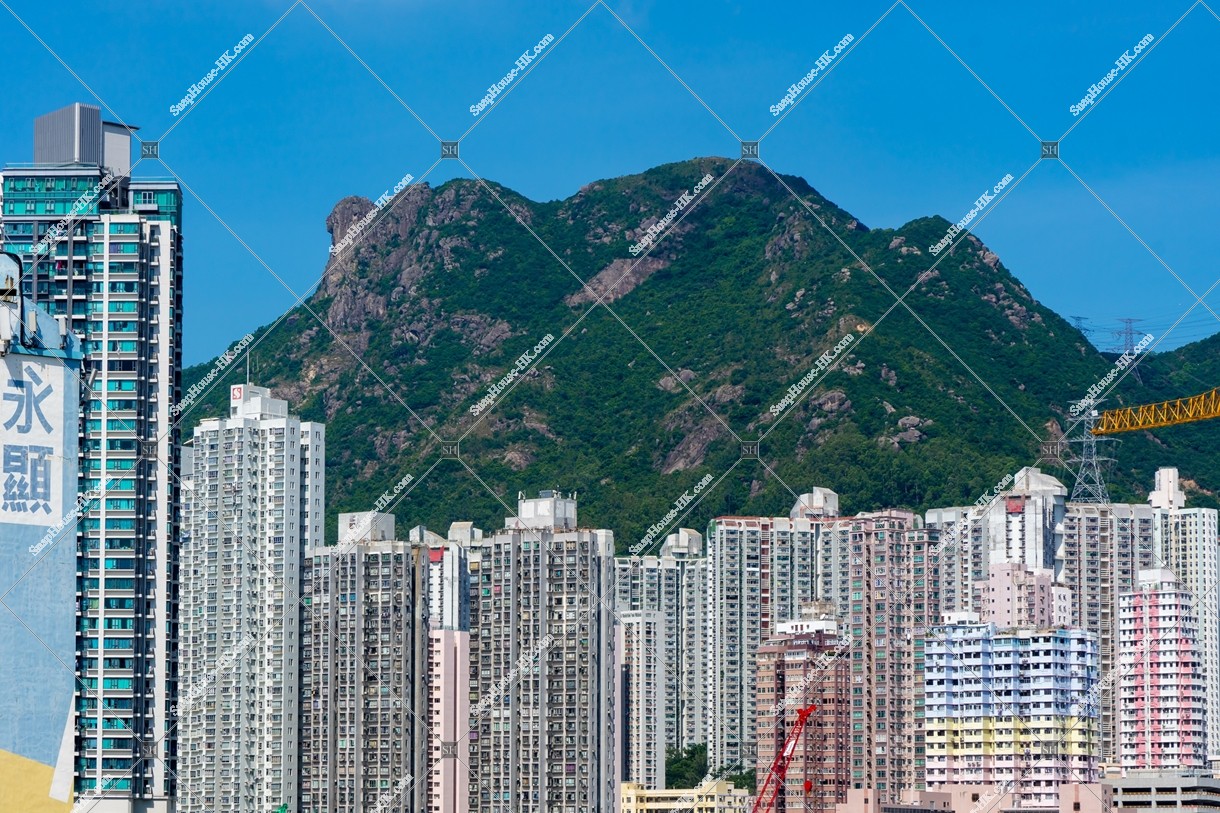 Lion Rock and street view of Wong Tai Sin, No.3