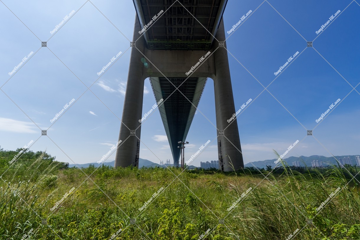 Tsing Ma Bridge with blue sky, No.10