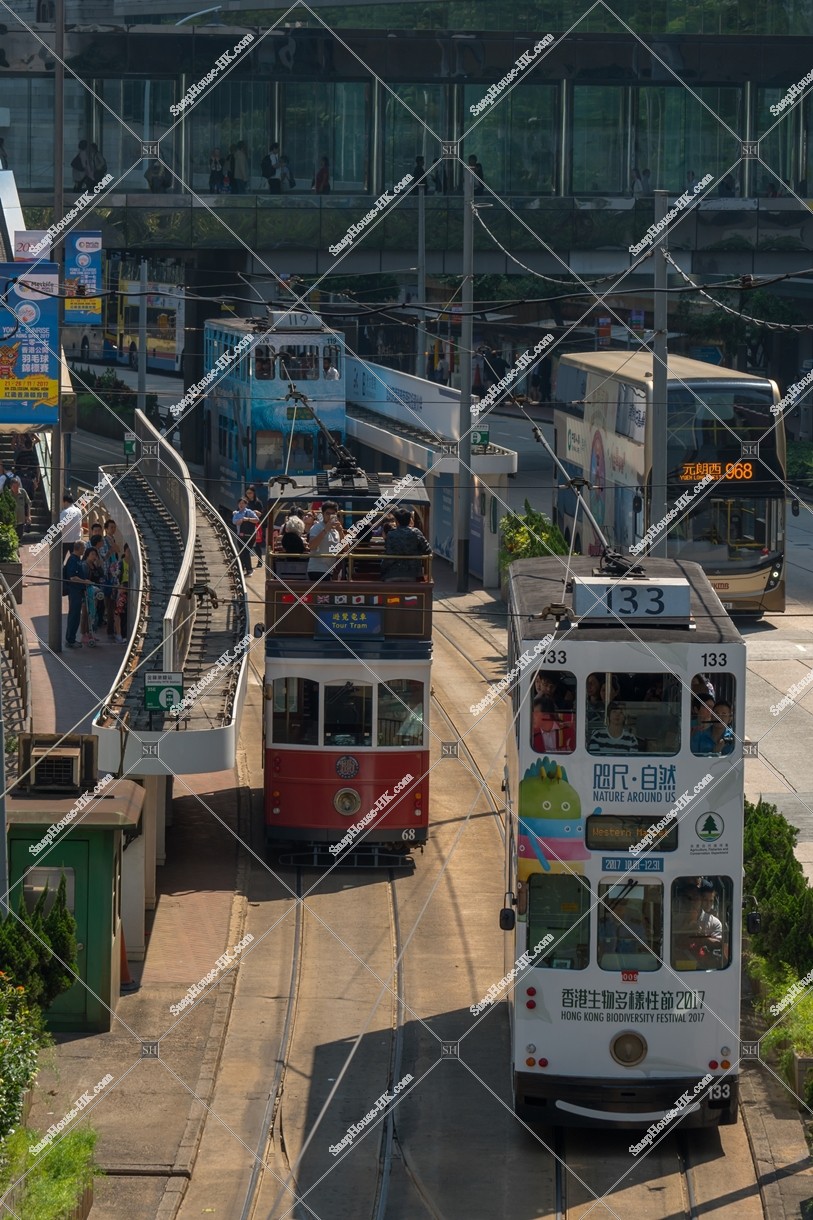 Several Hong Kong Tramways running at the station near Admiralty