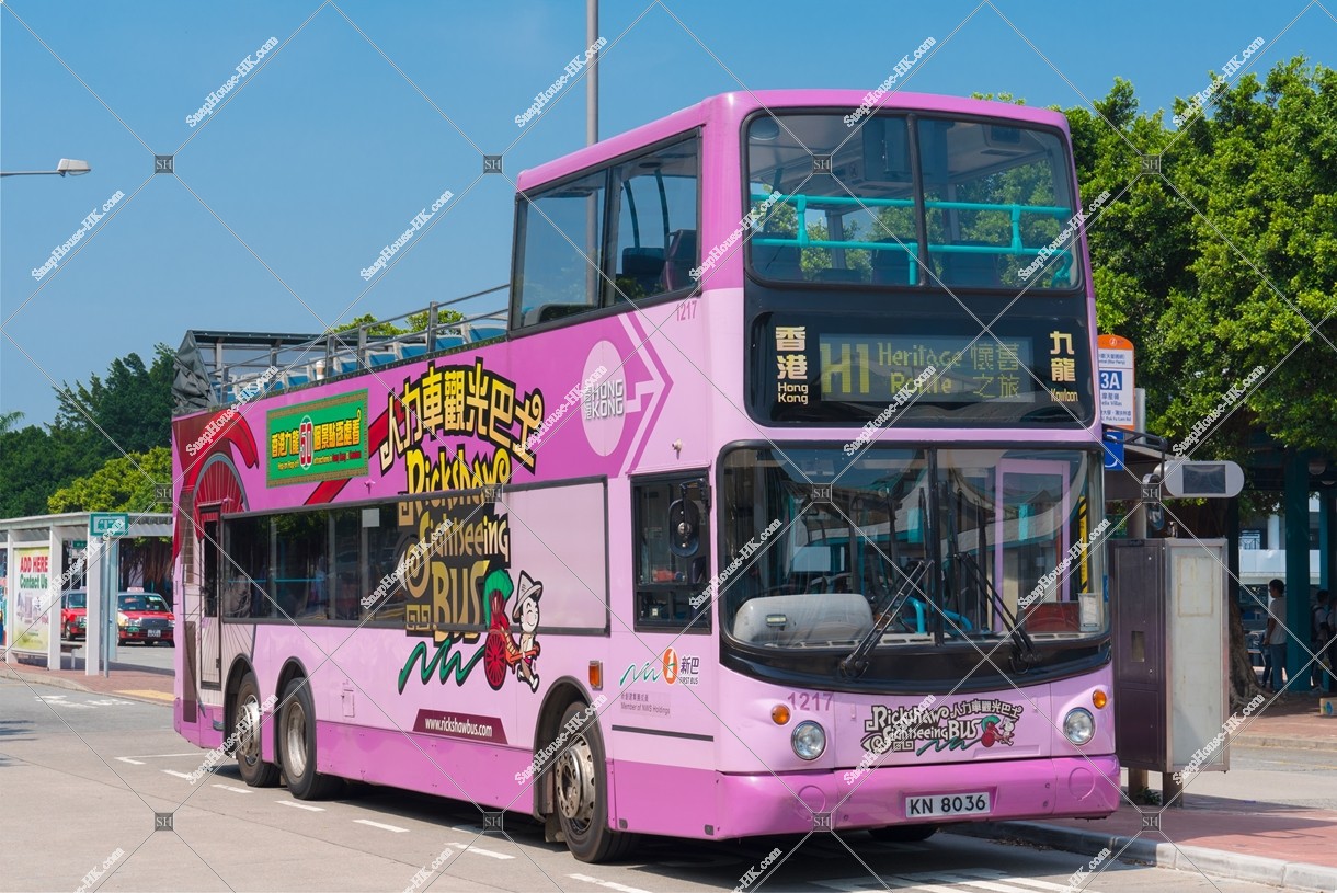 Body of Rickshaw sightseeing bus 