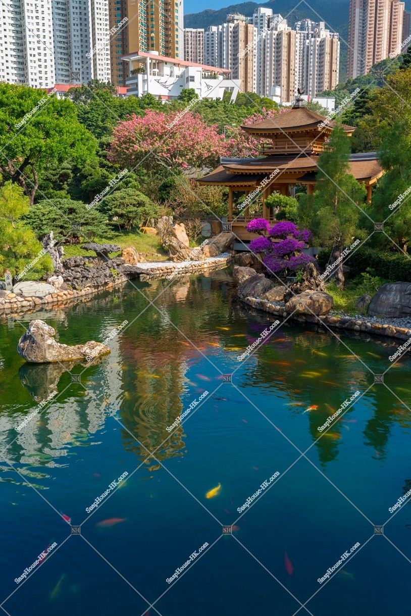 Pavilion Bridge and ponds, Nan Lian Garden, No.1