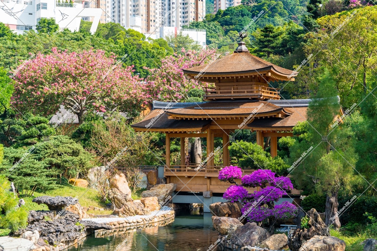 Pavilion Bridge, Nan Lian Garden, No.3