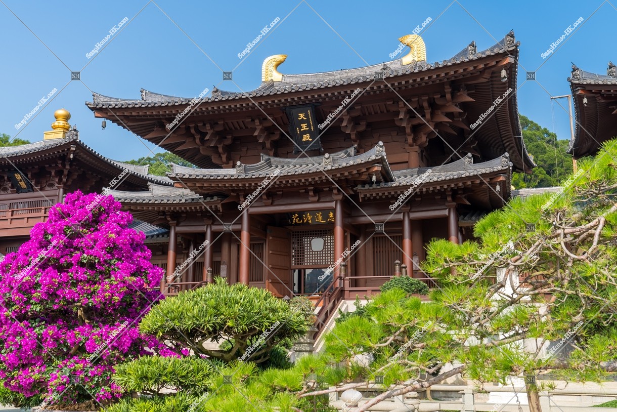 The Maitreya Hall, Chi Lin Nunnery, No.11