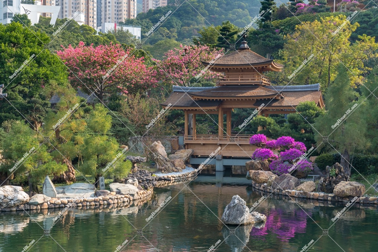Pavilion Bridge and ponds, Nan Lian Garden, No.5