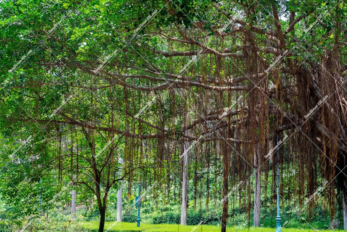View of Fantasy Road, Hong Kong Disneyland Resort, No.2