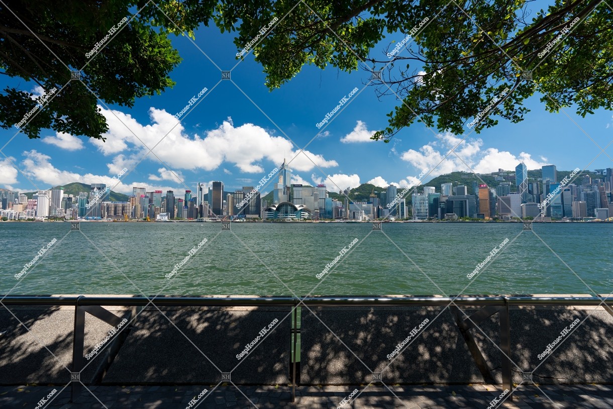 Skyline view of Wan Chai from Tsim Sha Tsui, No.5