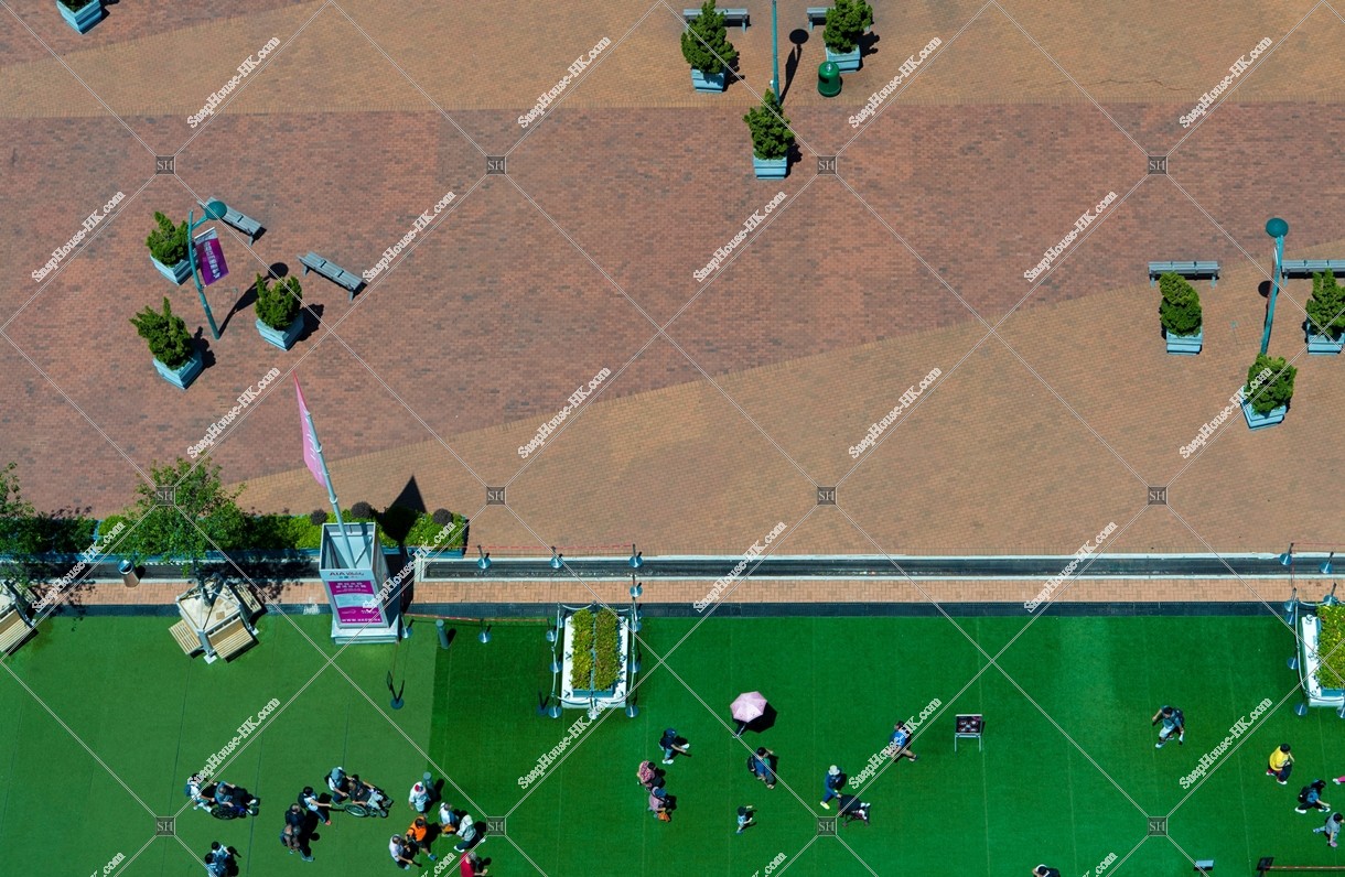 View of Central Ferry Piers, No.6