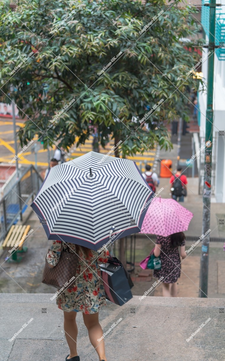 Women holding an umbrella