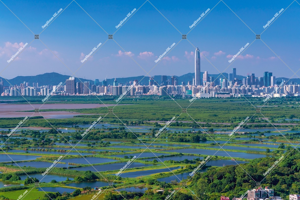 View of ponds at Fung Lok Wai, and Shenzhen, No.4