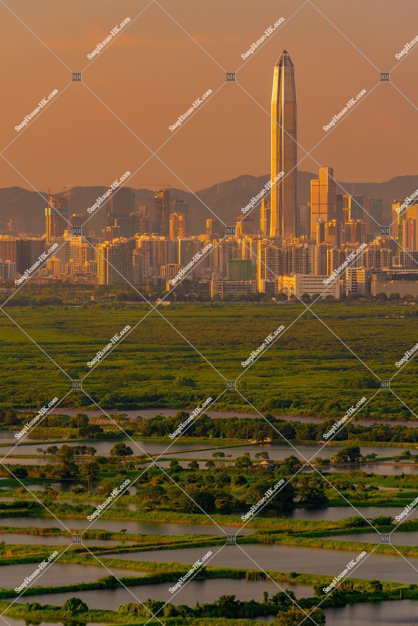 Evening view of ponds at Fung Lok Wai, and Shenzhen, No.1