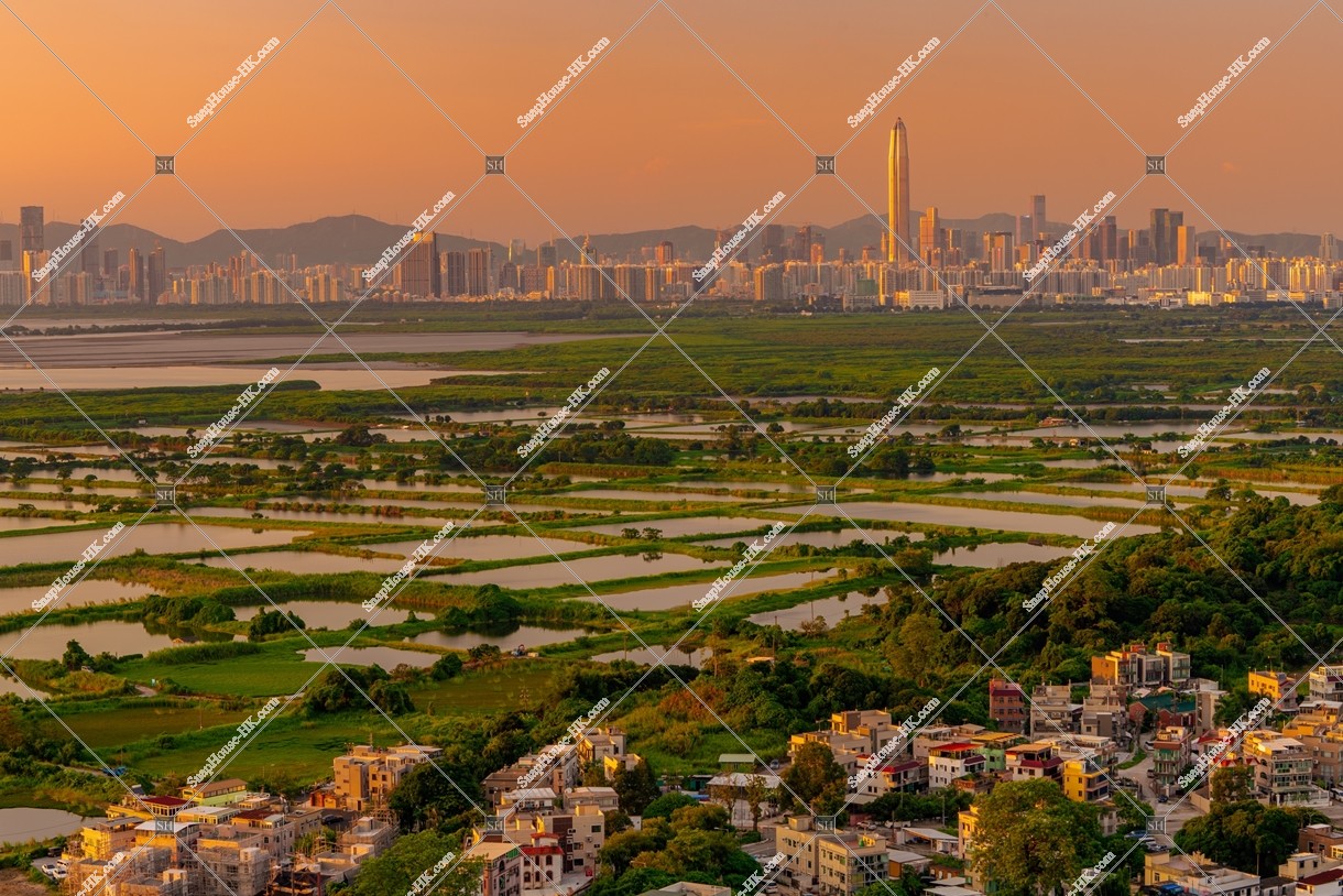 Evening view of ponds at Fung Lok Wai, and Shenzhen, No.2