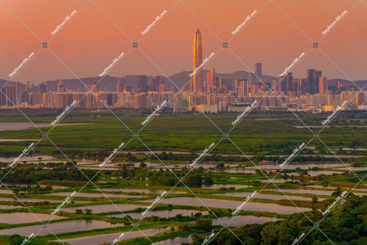 Evening view of ponds at Fung Lok Wai, and Shenzhen, No.3