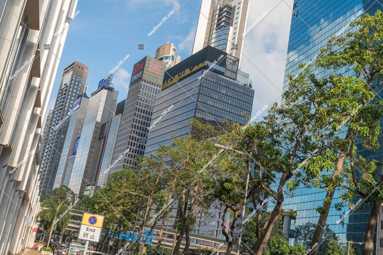 Street view of Wan Chai, No.8