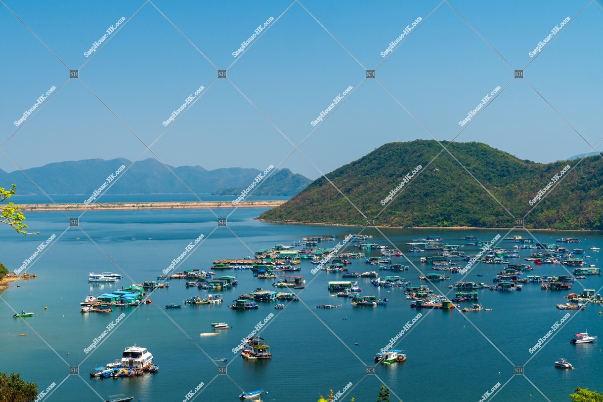 View of Plover Cove in Sam Mun Tsai, No.3