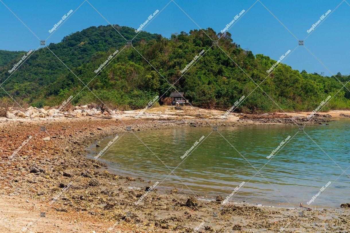 View of Trees and seashore at Ma Shi Chau , No.1
