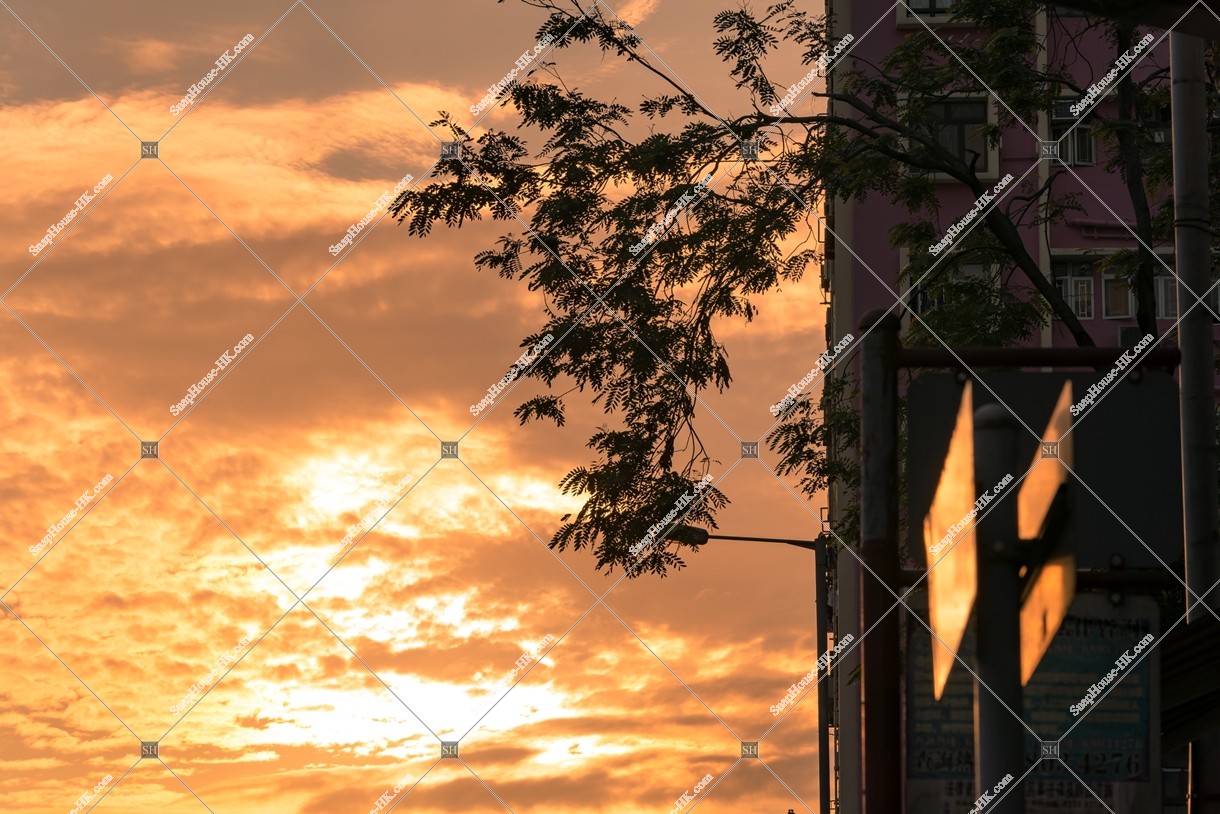 Sunset view of Yau Ma Tei, No.1