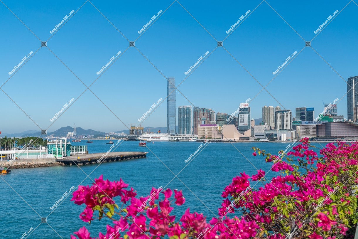 View of West Kowloon to Tsim Sha Tsui with flowers