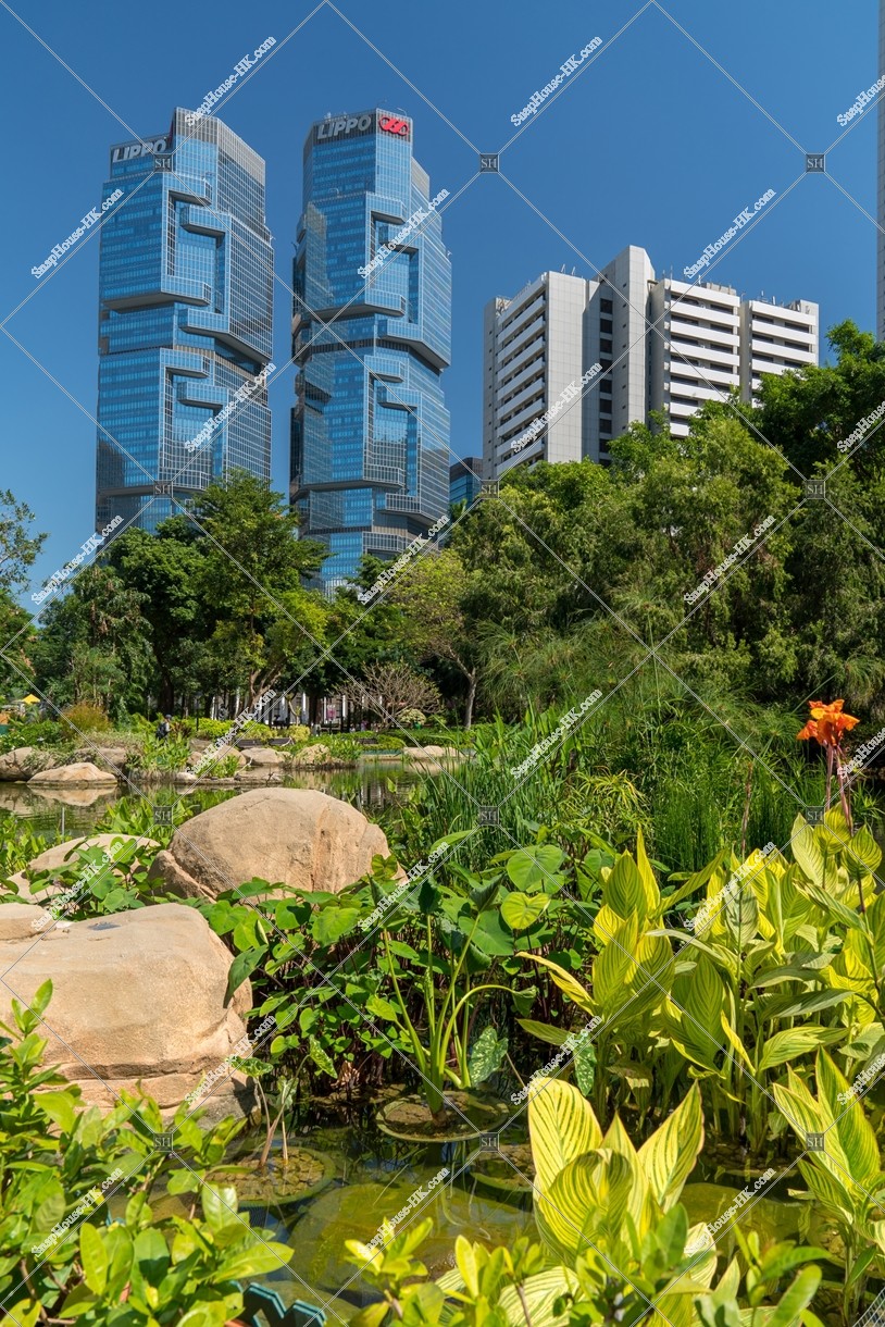 View of Hong Kong Park and Lippo Center, No.2