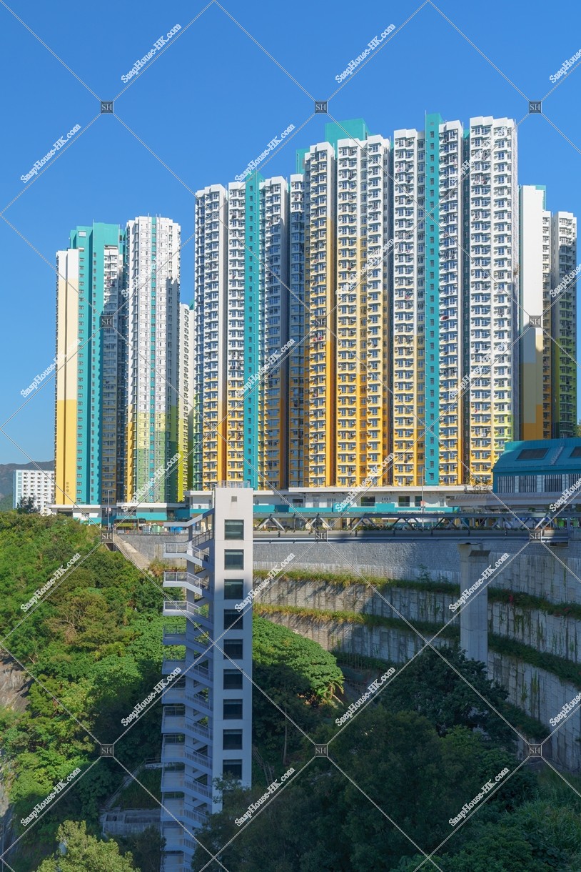 View of Public Housing with Elevator, No.1