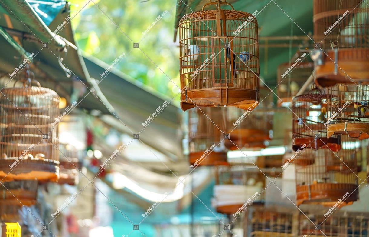 Bamboo cages at Chinese garden at Bird Garden, No.3