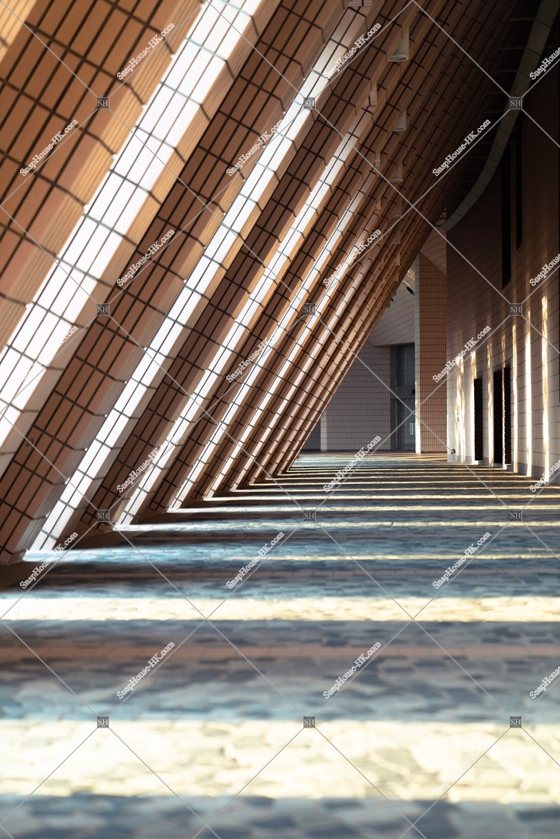 Light and shadow, No.3